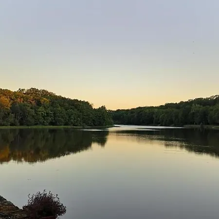 Forest Lake Views And Fishing *