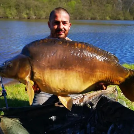 Apartmán Forest Lake Views And Fishing Troncais