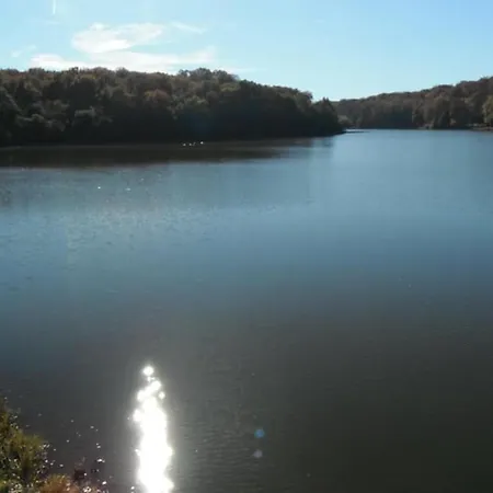 Forest Lake Views And Fishing Apartmán