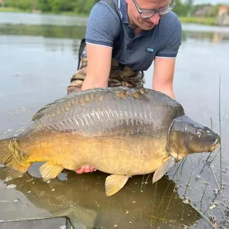Forest Lake Views And Fishing * Troncais